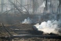 Smouldering of wood after fire in wood