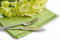 Green place setting informal