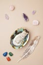 Smudge kit with white sage stick, abalone sea shell. Natural elements for cleansing negative energy Royalty Free Stock Photo