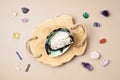 Smudge kit with white sage stick, abalone sea shell. Natural elements for cleansing negative energy Royalty Free Stock Photo