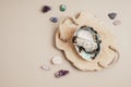 Smudge kit with white sage stick, abalone sea shell. Natural elements for cleansing negative energy Royalty Free Stock Photo