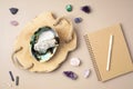 Smudge kit with white sage stick, abalone sea shell. Natural elements for cleansing negative energy Royalty Free Stock Photo