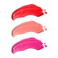 Smudge lipsticks isolated on white background. Makeup lipstick.  Clipping path Royalty Free Stock Photo