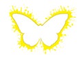 Smudge splash abstract butterfly silhouette icon splash isolated logo on white