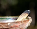 Smudging ceremony using Peruvian Palo Santo holy wood incense stick and abalone shell in forest Royalty Free Stock Photo