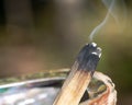 Smudging ceremony using Peruvian Palo Santo holy wood incense stick and abalone shell in forest Royalty Free Stock Photo