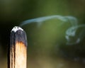 Smudging ceremony using Peruvian Palo Santo holy wood incense stick in forest