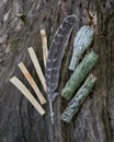 Smudging kit - Grade A barred turkey smudging feather, Peruvian Palo Santo holy wood sticks, Wildcrafted dried White Sage Royalty Free Stock Photo