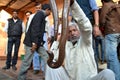 Smuggler with Sand Boa snake