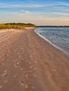 Smyrna Dunes Park in Florida Royalty Free Stock Photo