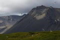 SnÃ¦fellsnes Peninsula Artic Terns