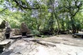 Snack area with stone barbecues and tables and benches for picnics in a glade of a typical Atlantic forest in Galicia, Spain