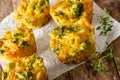 Snack Broccoli muffins with cheese and thyme close-up. horizontal