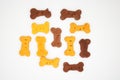 Snack, or cookies or prize to give the dog, to reward good behavior Royalty Free Stock Photo
