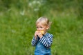 Snack on the nature Royalty Free Stock Photo