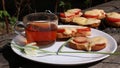 Snack on nature on a sunny day Royalty Free Stock Photo