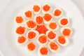 Snack of quail eggs Royalty Free Stock Photo