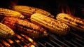 snack roasted corn