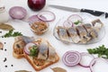 Snack from salted herring on bread with red onion and mustard on white background Royalty Free Stock Photo