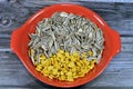 A snack of seeds of the sunflower (Helianthus annuus), Types are linoleic, high oleic and sunflower oil seeds