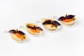 Snack to buffet in glass boats on a white background