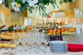 Snacks, fish and meat specialities on the buffet. A gala reception. Served tables. Catering Royalty Free Stock Photo