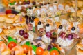 Snacks, fish and meat specialities on the buffet. A gala reception. Served tables. Catering