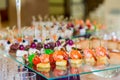 Snacks, fish and meat specialities on the buffet. A gala reception. Served tables. Catering