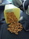 snacks made from nuts to accompany various relaxing times