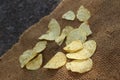 Snacks potatoes on a plate on a yellow background. Royalty Free Stock Photo