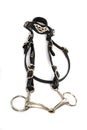 Snaffle bridle in studio