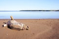 Snag on the beach sand. Scenic view with Snag of the trunk. Beautiful summer landscape. Royalty Free Stock Photo