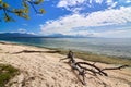 Snag on the beautiful beach with blue sky and clouds