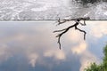 A snag lies on the edge of a dam in a calm water zone