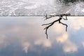 A snag lies on the edge of a dam in a calm water zone