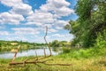 Snag on river bank Royalty Free Stock Photo