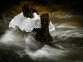 Snag on the river in the spring in the Kaluga region (Russia). Royalty Free Stock Photo