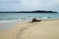 Snag on the sand beach of Isla Bajo Boyarena, San Miguel, Panama