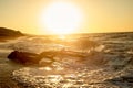 The snag that washed up on the shore.A large tree trunk, the high waves . Storms. Golden sunset Royalty Free Stock Photo