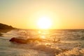 The snag that washed up on the shore.A large tree trunk, the high waves . Storms. Golden sunset Royalty Free Stock Photo