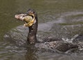 Double-crested Cormorant Gathers his Fishy Meal Royalty Free Stock Photo