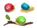 Snail animal with abstract colors isolated