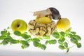 Snail on an apple, white background and green lettuce sprouts. Royalty Free Stock Photo