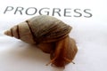 Snail as a symbol: slow progress is still progress