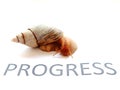 Snail as a symbol: slow progress is still progress