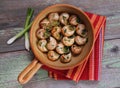 Snail au gratin Royalty Free Stock Photo