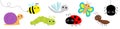 Snail, beetle, ladybug ladybird, dragonfly, ant, butterfly, green caterpillar, spider, honey bee. Insect set. Cute cartoon kawaii