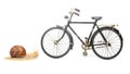 Snail and bicycle model on a white background. The speed of movement of vehicles in comparison