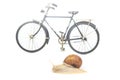 Snail and bicycle model on a white background. The speed of movement of vehicles in comparison