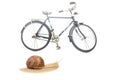 Snail and bicycle model on a white background. The speed of movement of vehicles in comparison